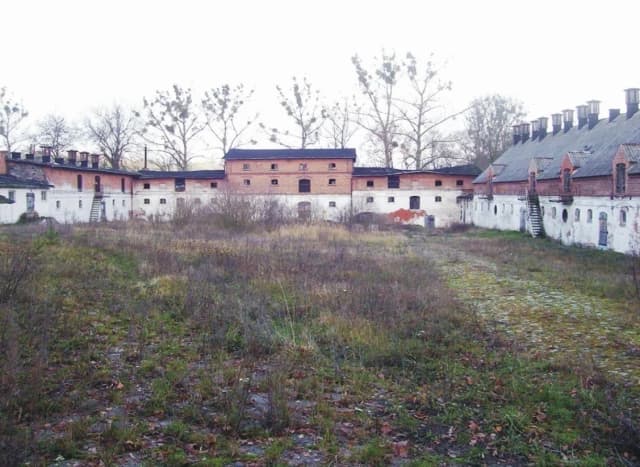 Mniszki skansen: Odkryj znikające rzemiosła i regionalną historię