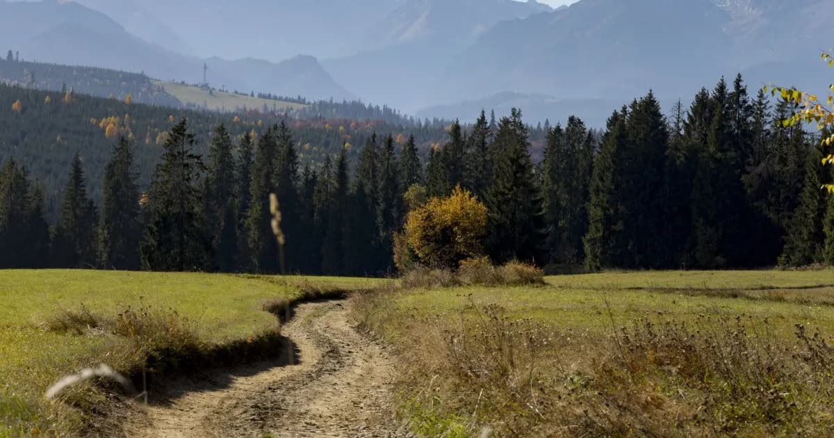Jakie szlaki z Bukowiny Tatrzańskiej wybrać na niezapomnianą wędrówkę