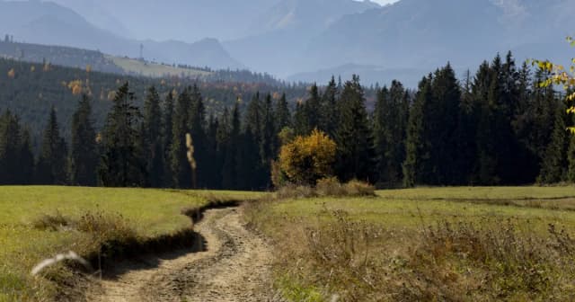 Jakie szlaki z Bukowiny Tatrzańskiej wybrać na niezapomnianą wędrówkę