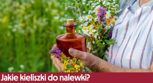 Jakie kieliszki do nalewki wybrać, aby podkreślić smak trunków?