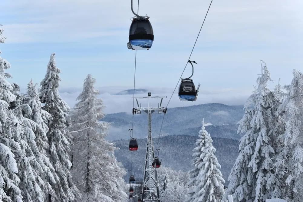 Krynica Zdrój – odkryj niezwykłe góry i szlaki w Beskidach