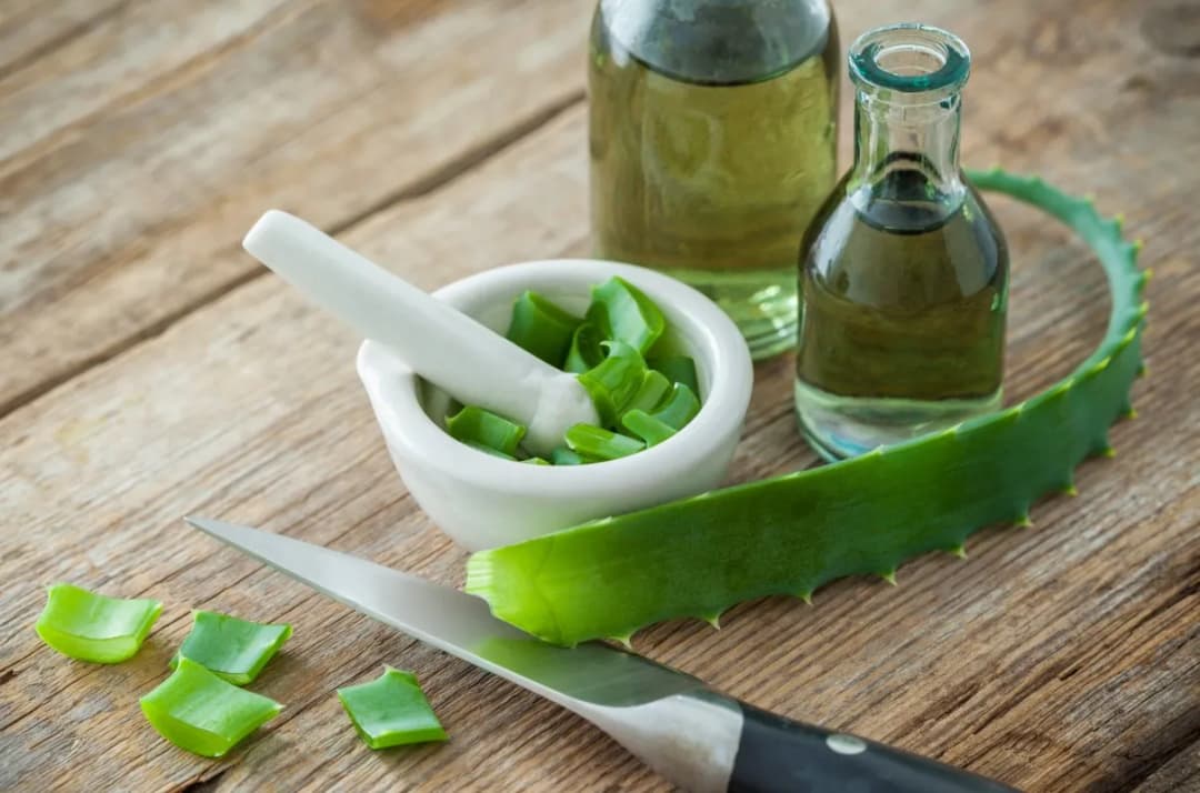 Nalewka z aloesu na co pomaga - poznaj jej zdrowotne właściwości
